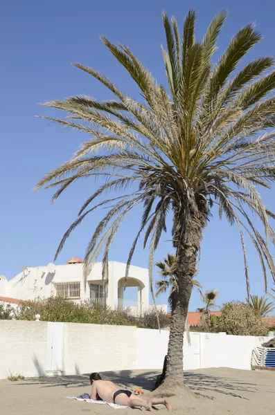 Man sunbathing under a palm tree — Stock Photo, Image