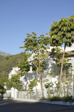 Beyaz Endülüs evi