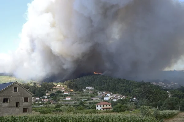 Galiçya ateş Telifsiz Stok Fotoğraflar