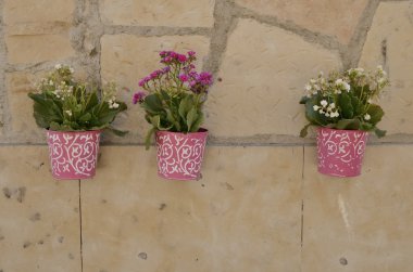 Taş duvar pembe tencere