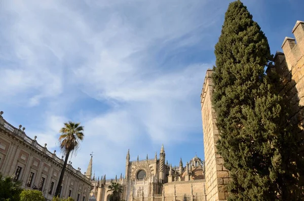 Group Historical Buildings Old Town Seville Andalusia Spain — Stock Photo, Image