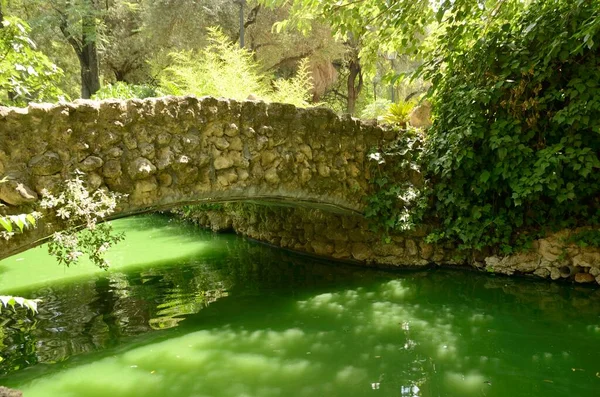 Endülüs 'ün başkenti Sevilla' daki yeşil gölette taş köprü..