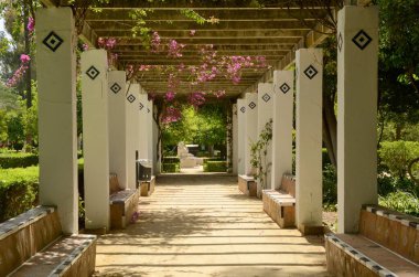 Seville, Endülüs, İspanya 'daki parktaki bahçe galerisinin her iki tarafında sıralar.