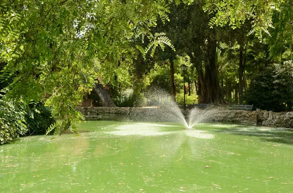 Vízsugár Zöld Parkban Sevilla Andalúzia Spanyolország — Stock Fotó