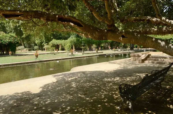 Ağacın Manzarası Seville Endülüs Spanya Parkındaki Büyük Gölge — Stok fotoğraf