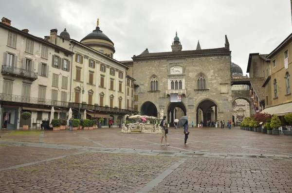 Regentag in Bergamotte — Stockfoto