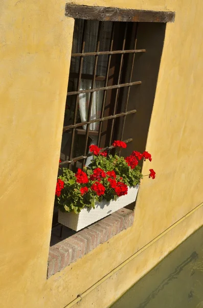 Casa ventana junto al río — Foto de Stock