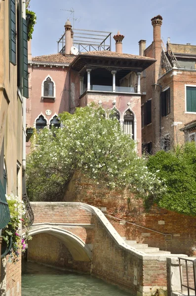 Bridge  San Cristoforo — Stock Photo, Image