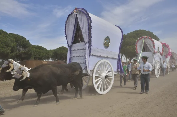 Carros de bueyes en el camino al Rocío — Foto de Stock