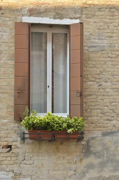 Fenster mit Töpfen — Stockfoto