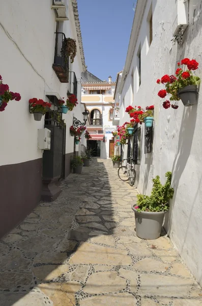 Flores rojas en la pared en Estepona — Foto de Stock