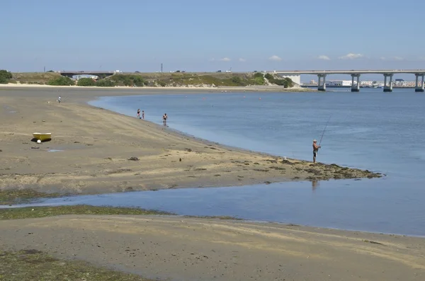 Laguna Aveiro — Zdjęcie stockowe