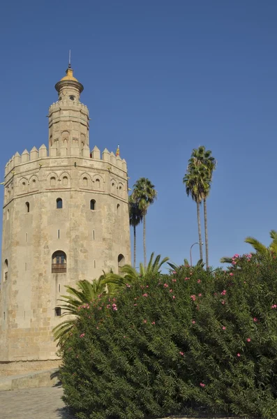 Der goldene Turm von Sevilla — Stockfoto