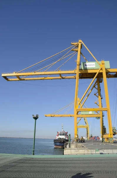 Grote kraan en lading schip — Stockfoto