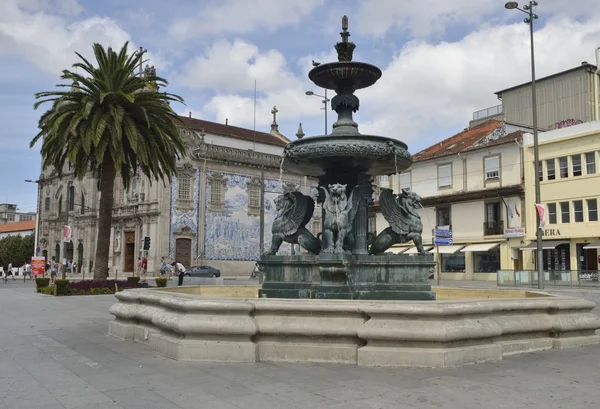 Plaza de Leones en Oporto — Foto de Stock