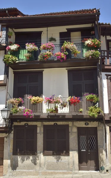 Květiny květináče na budově v Guimaraes — Stock fotografie