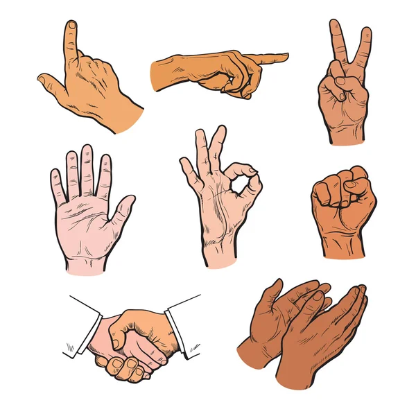 Drawn hands. A set of hands and fingers. Royalty Free Stock Vectors
