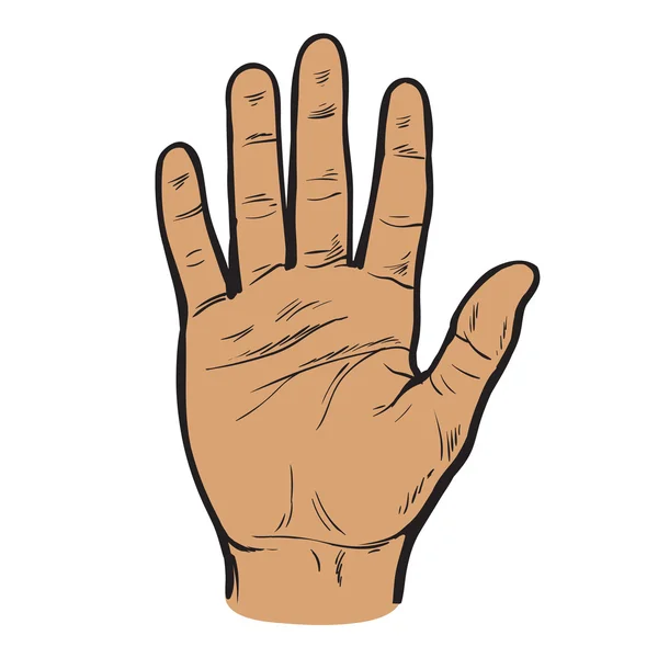 Malovaný rukou s otevřenou dlaní. — Stockový vektor