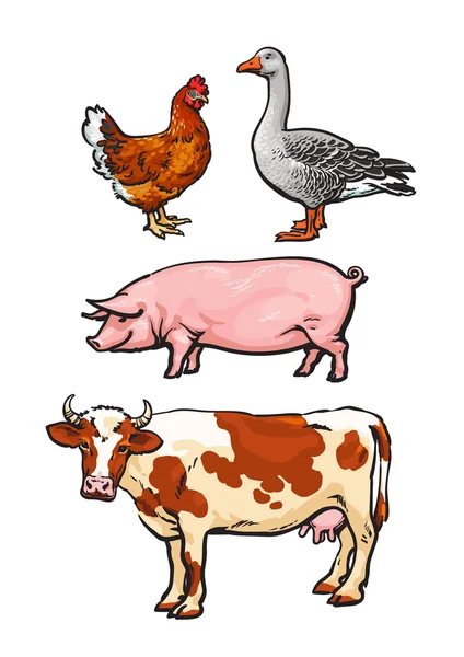 Conjunto de animales de granja sobre el fondo blanco — Vector de stock