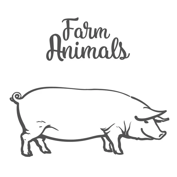 Vector illustration of pig in graphic style. Drawing by hand. — Stock Vector