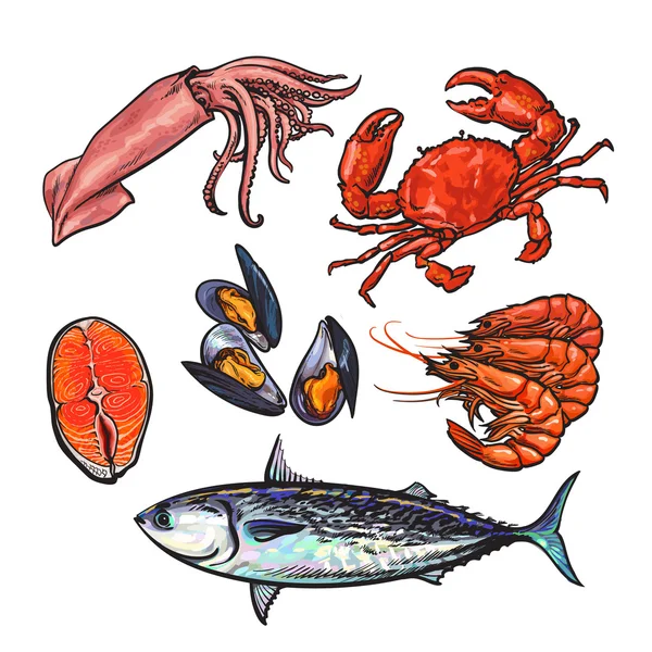 Ensemble isolé de produits marins frais — Image vectorielle