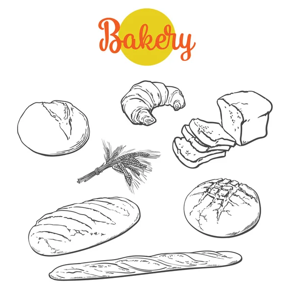 신선한 빵, 파 삭 파삭한 빵 절연 — 스톡 사진