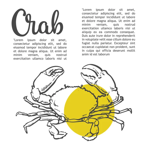 Croquis crabe de contour — Image vectorielle