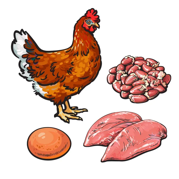 Carne de pollo con huevo y corazones — Vector de stock