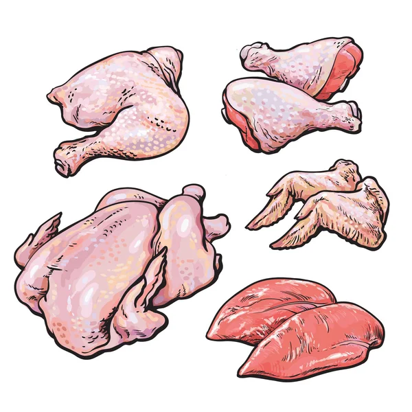 Definir frango em um fundo branco — Fotografia de Stock
