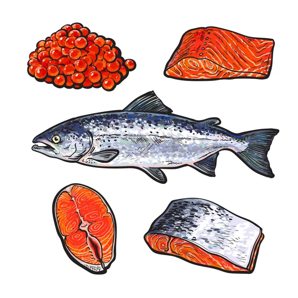 Saumon de mer au caviar et filets — Image vectorielle
