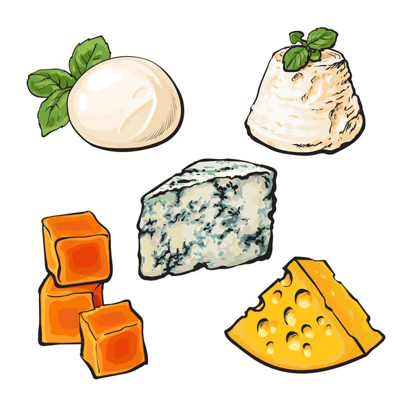 Set di diversi formaggi mozarella, cheddar, Roquefort, camembert maasdam — Vettoriale Stock