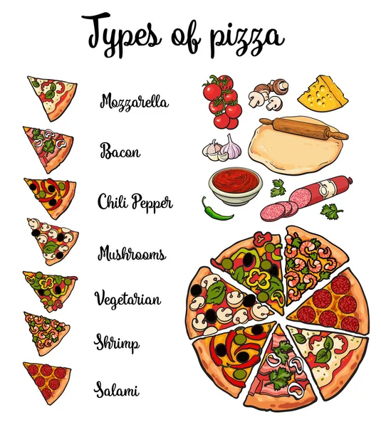 Types of pizza and basic ingredients — Stock Vector