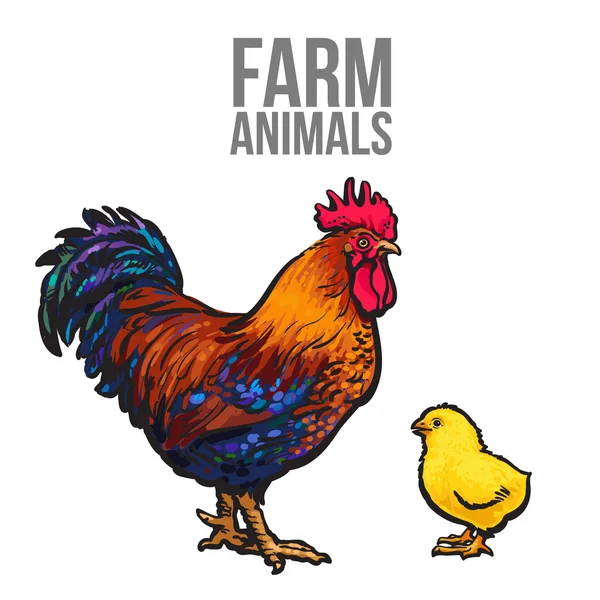Tupp och kyckling fjäderfä gård — Stockfoto