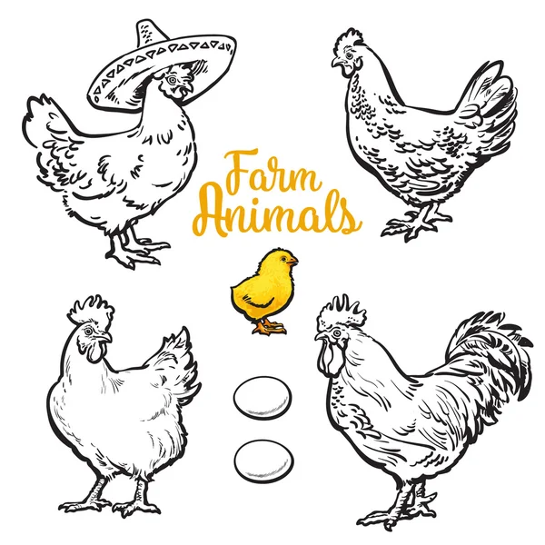 Conjunto de galinhas diferentes — Vetor de Stock