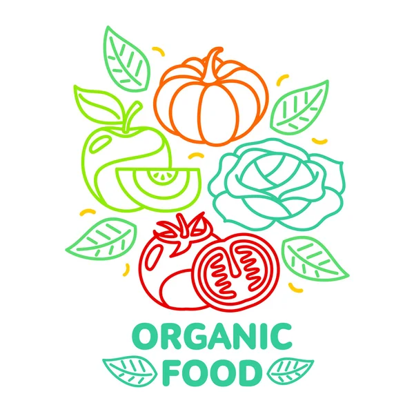 Uppsättning av ekologisk mat frukt och grönsaker logotyp kort mallar — Stock vektor