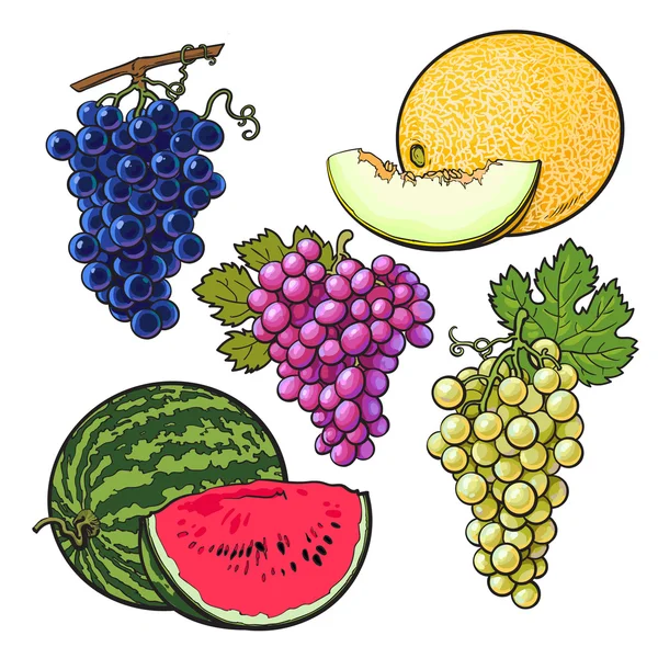 Collection of red, green, purple grapes, melon and watermelon — Stock Photo, Image