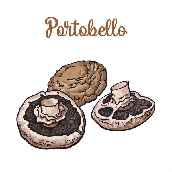 Set van portobello eetbare paddestoelen — Stockvector