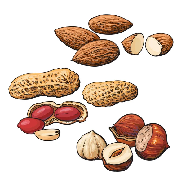 Collection of almond, hazelnut and peanut heaps — Stock Photo, Image