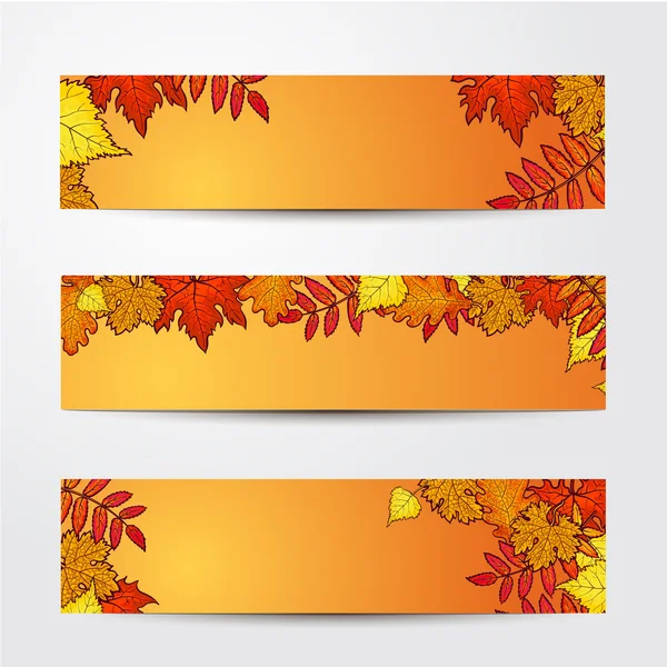 Conjunto de modelos de banner com bordo, carvalho, folhas de outono rowan — Vetor de Stock