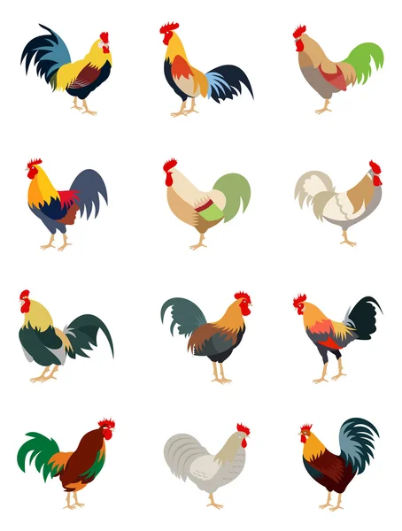 Colorido conjunto de varios gallos — Vector de stock