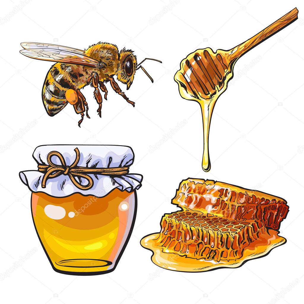 Jar of honey, bee, dipper and honeycomb on white background