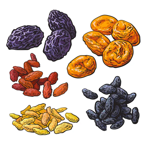 Set of dried fruits - prunes, apricots and raisins — Stock Vector