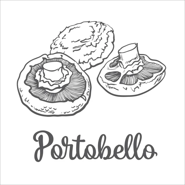 Conjunto de hongos comestibles portobello — Vector de stock