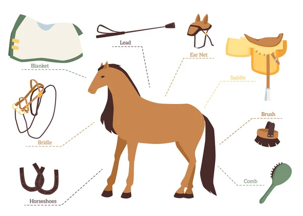 Set of horse care and equestrian ride icons flat vector illustration isolated. — Stock Vector