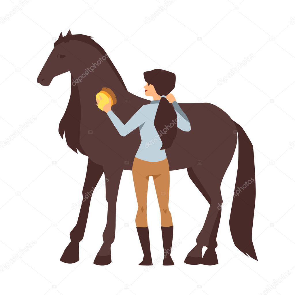 Young woman cleaning a thoroughbred chestnut horse a vector isolated illustration