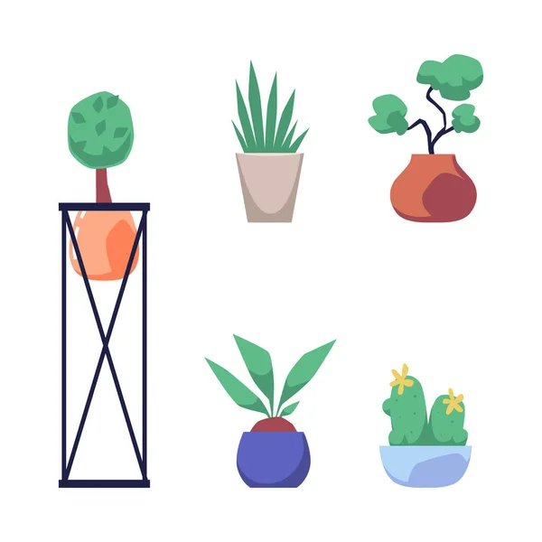 Set house pot plants colorful cartoon icons, flat vector illustration isolated. — Stock Vector