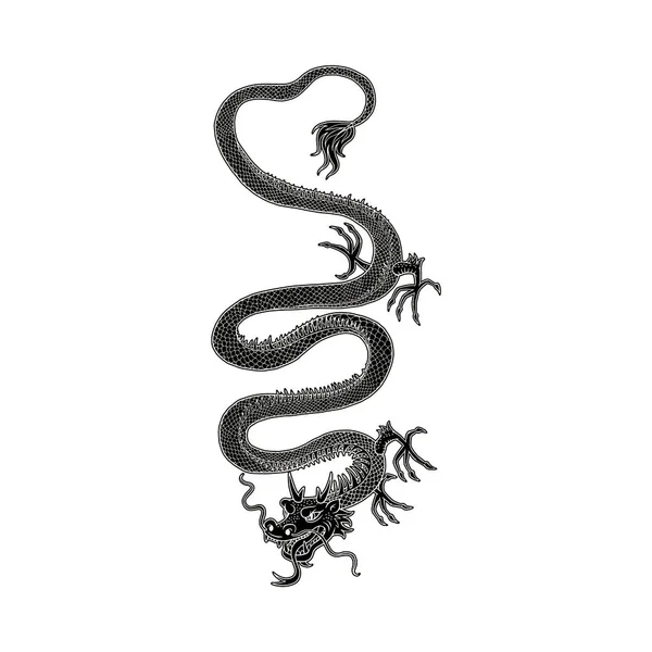 Číňan starověký drak černý monochromatický vektor ilustrace izolované na bílém. — Stockový vektor