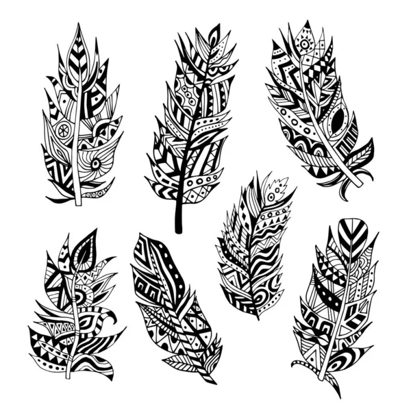 Set decoratieve veren met zwarte sierlijke vectorillustratie geïsoleerd. — Stockvector