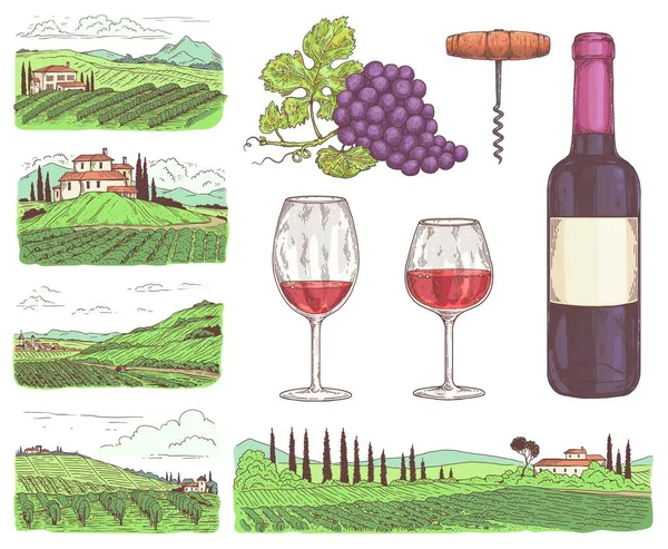 Una serie di colorate illustrazioni vettoriali sul tema vino rosso e vinificazione. — Vettoriale Stock