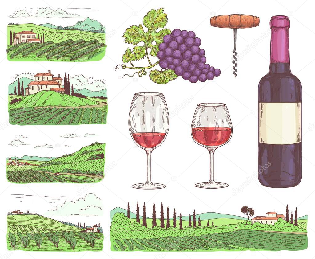 A set of colorful vector illustrations on theme red wine and winemaking.